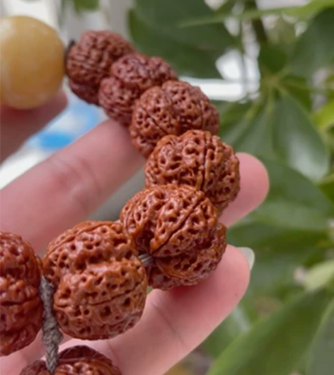 25古龙梅花……高油高密……颗颗秒沉……佩...