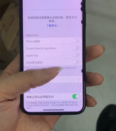 苹果X 国行256G  屏幕坏的 漏液了 ...