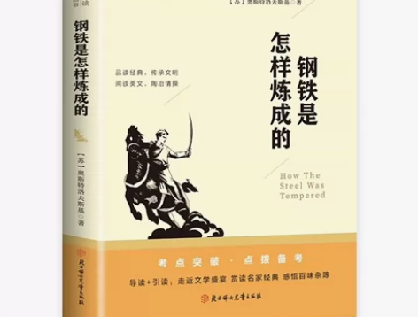 钢铁是怎样炼成的 外观成色：没有明显损坏 ...