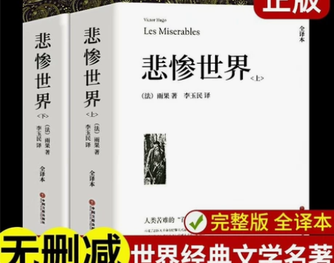 悲惨世界 原版带注释无删减雨果著正版原著全...