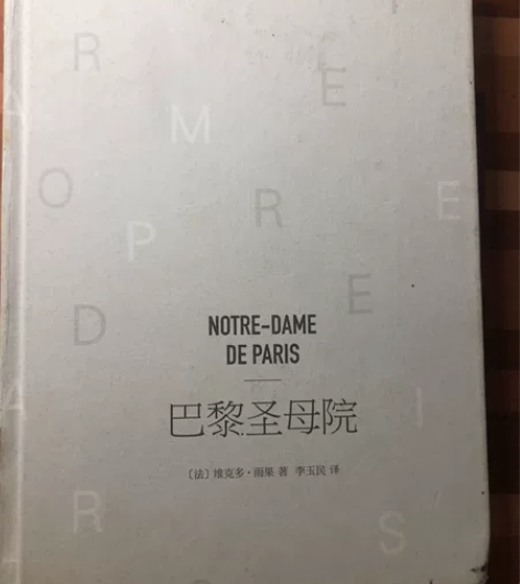 巴黎圣母院 封面有点瑕疵，内容全新未翻阅