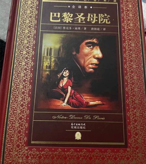 几乎全新买了一次没看过巴黎圣母院(全译本)...