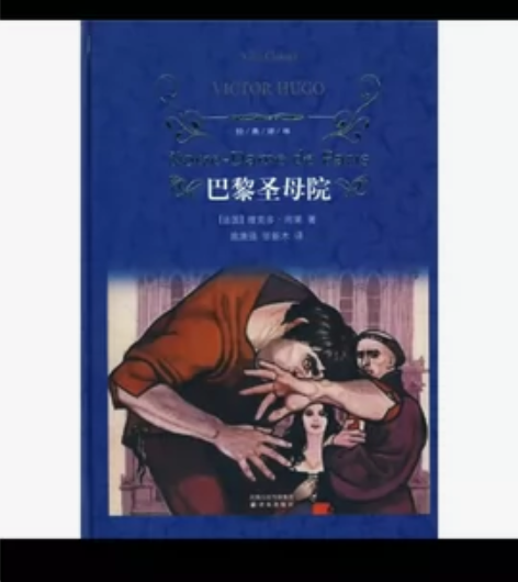 巴黎圣母院，正版译林，九九新，买来没有看过...