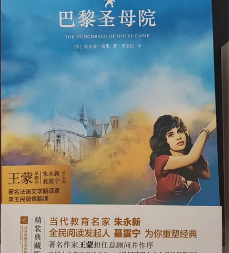 巴黎圣母院 感兴趣的话点“我想要”和我私聊...