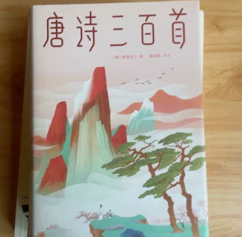 唐诗三百首 马未都推荐版  诗歌词曲中国古...