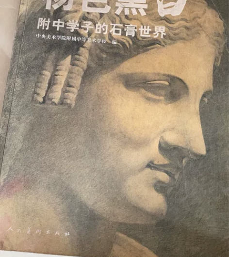 中央美术学院附中留校作品石膏+物色黑白+全...