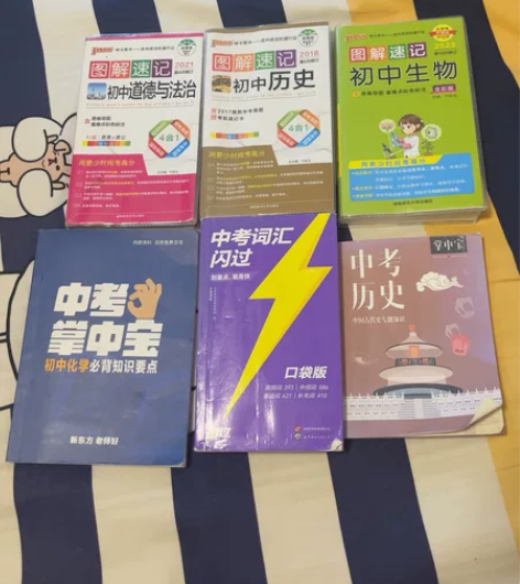初中图解速记及小科掌中宝 共6科 道法 历...