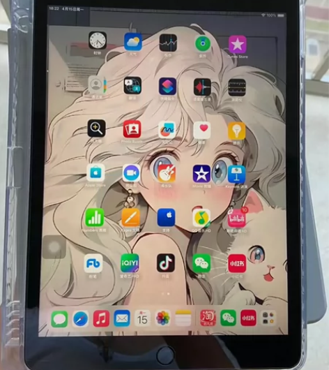 自用ipad2019 128g 10.2寸...