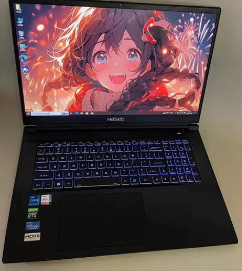 神舟战神G8游戏本 17.3寸电竞大屏幕 ...