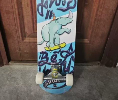 着急出 全新DBH 专业双翘滑板，一博同款...