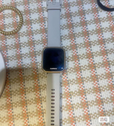 佳明Garmin高尔夫Golfer高端智能...