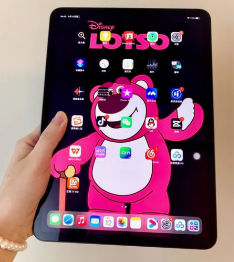 【急出】【急出】【急出】 2020款iPa...