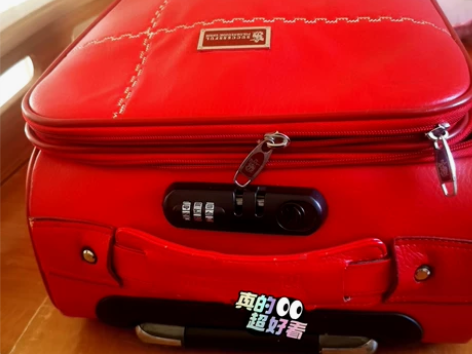 包邮 旅行箱 全皮 竖版 16寸 可登机 ...