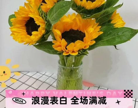 向日葵家庭办公室水养插花母亲节礼物教师节花...