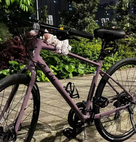 闲置二手全新 捷安特Liv 乌梅子酱公路赛...