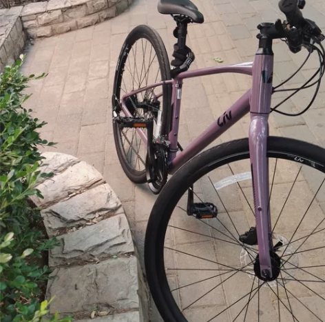 【急出急出】捷安特公路车liv乌梅子酱捷安...