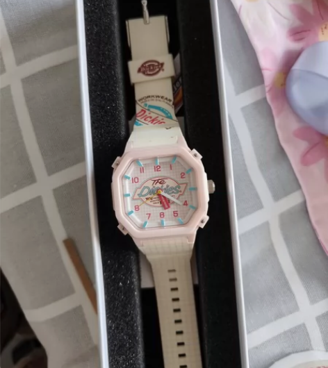 dickies手表全新仅拆100包邮 感兴...