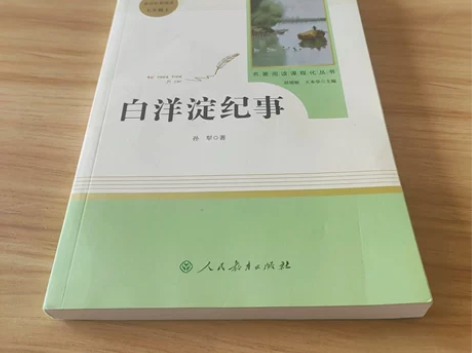 正版 白洋淀纪事 孙犁 著 正版二手...