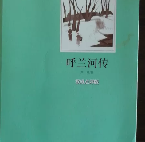 呼兰河传 感兴趣的话点“我想要”和我私聊吧...