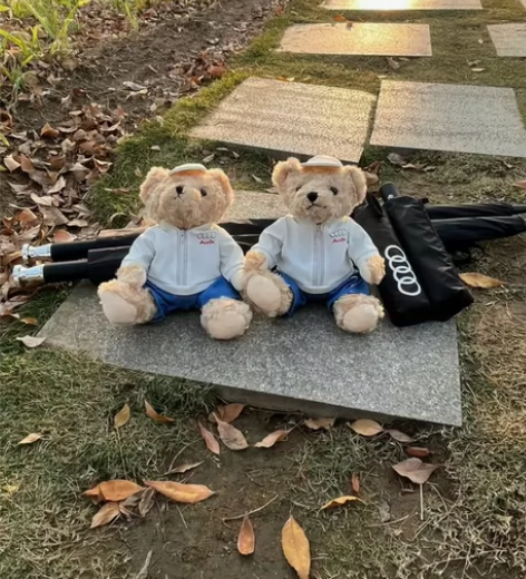 礼品没送完的奥迪汽车雨伞，全自动折叠伞全新...