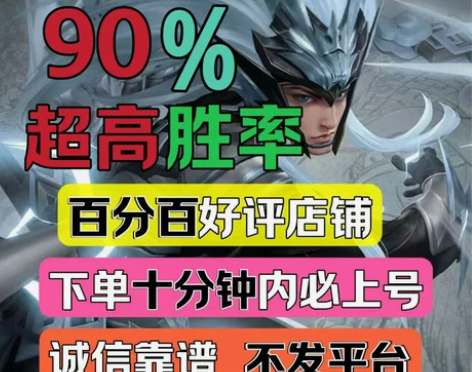 王者荣耀代练工作室上分排位代打车队陪玩战力...