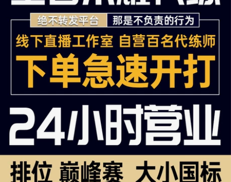 王者荣耀代练打大小国服省金标巅峰赛工作室排...