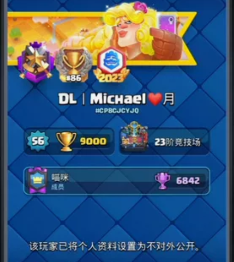 皇室战争代打 也接代练（价格私聊）！ 超低...