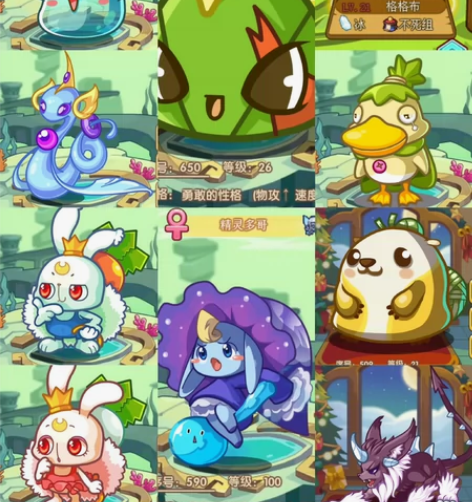 清宠物蛋库存（现蛋）！ 更新日期:2024...