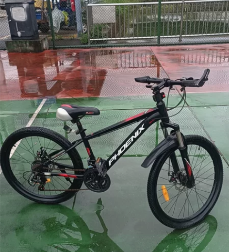 凤凰24寸,山地车不变速,可以正常骑用,便...