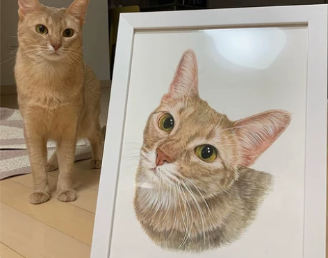 手绘宠物头像 宠物手绘猫咪 彩铅 动物画像...