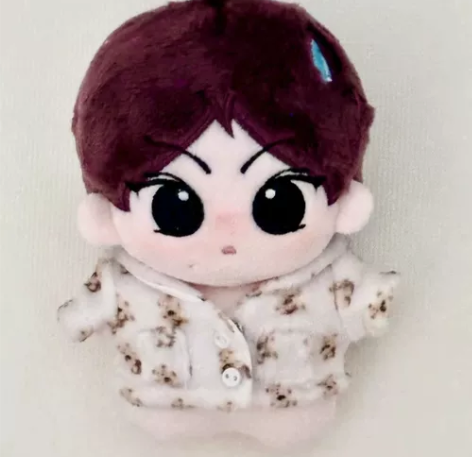 出enhypen 祯无语10cm梁祯元娃 ...