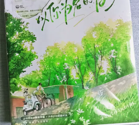 印特签 以你为名的夏天 任凭舟 盛夏X张澍...