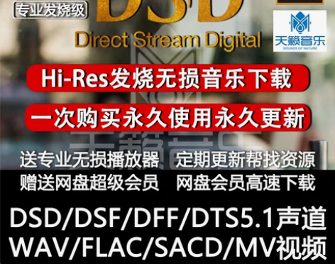 HIRES高解析发烧DSD无损音乐下载 母...