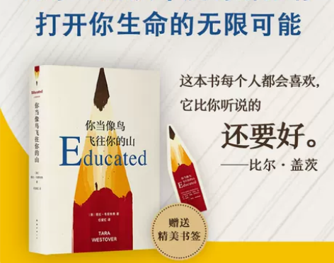 当当网 你当像鸟飞往你的山 没怎么翻过，丽...