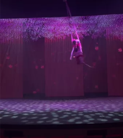 来延吉必看的一场演出 #花开永不败 音画剧...