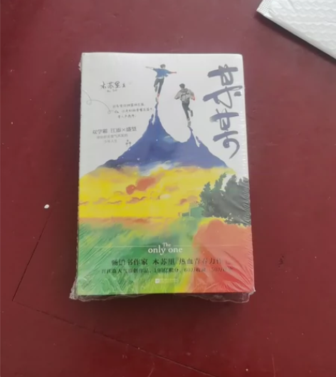 某某全套三册未删减完结版木苏里著晋江青春校...