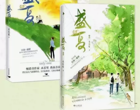 盛夏+序章全2册木苏里著 新增番外 热血青...