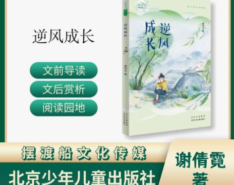 包邮谢倩霓校园成长小说 逆风成长 北京少年...