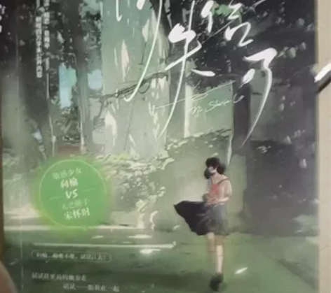 青春校园都市言情小说暗恋文BE畅销实体书 ...