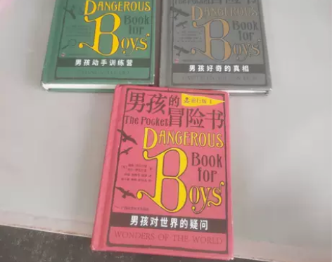 正版二手男孩的冒险书（旅行版，全4册内缺一...