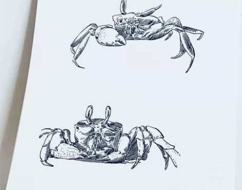 螃蟹手绘 13.5*19.5无框