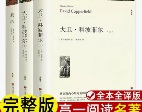 复活＋大卫·科波菲尔整一套。30元一套包邮...