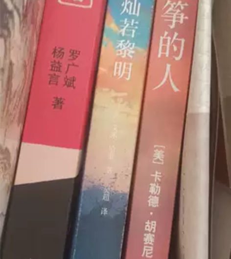 追风者的人，灿若黎明，红岩，巴黎圣母院，大...