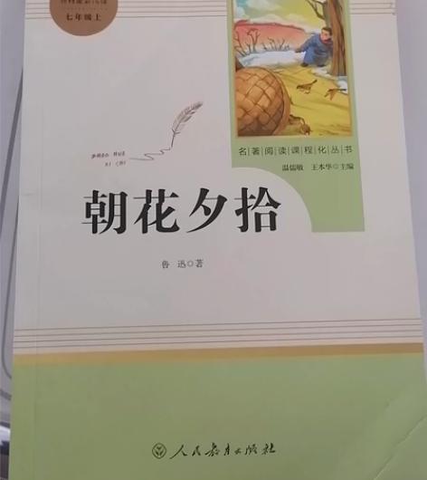 朝花夕拾(7上)/名著阅读课程化丛书 感兴...