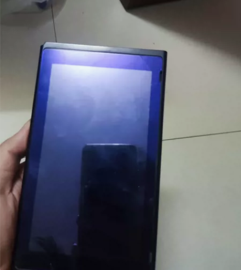 ns大气层软破单平板 问题机，进虚拟系统会...