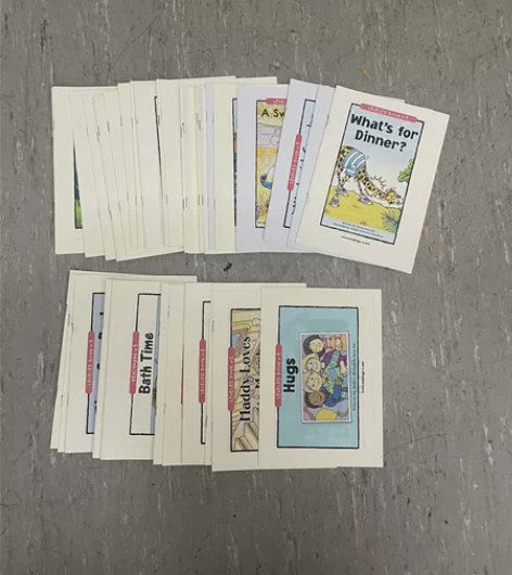 RAZ E  英语分级阅读书 自己彩色打印...