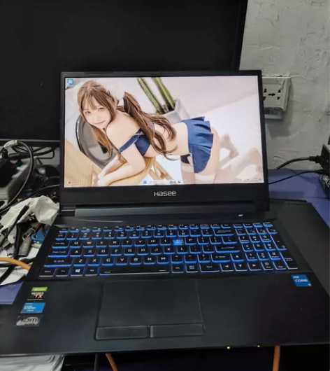 神舟Z7 十代i7 16+256+256 ...