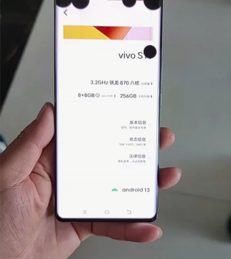 vivo s16 8加256，屏幕有漏液！...