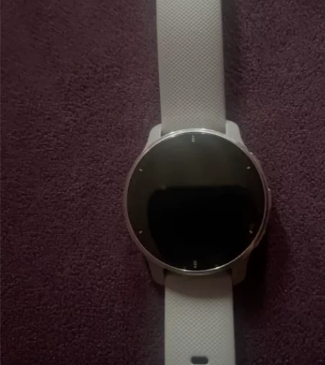 Garmin+venu2+plus+灰色箱...