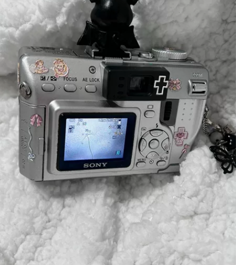 索尼dsc-v1 想换其他的所以出，平时在...
